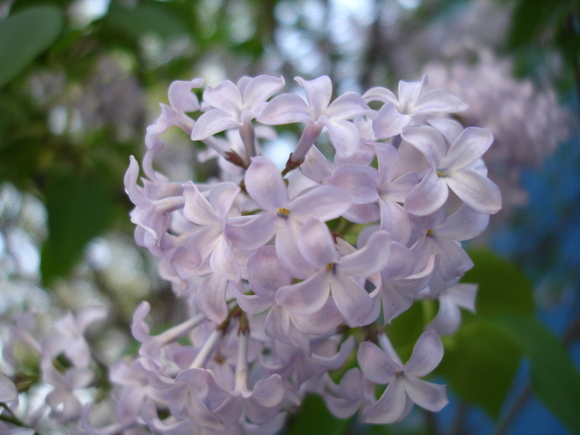 ./dsc01289.jpg
