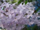DSC01287.JPG : 580 x 435