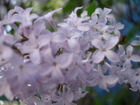 dsc01287.jpg : 580 x 435