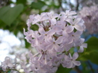 dsc01290.jpg : 580 x 435