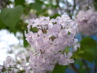 dsc01291.jpg : 580 x 435