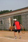 img_2227.jpg : 387 x 580