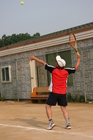 img_2229.jpg : 387 x 580