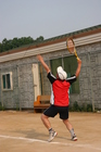 img_2231.jpg : 387 x 580