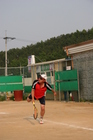 img_2241.jpg : 387 x 580