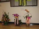 img_2225.jpg : 580 x 435