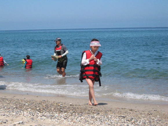 ./img_0392.jpg