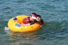 boat_081.jpg : 580 x 387