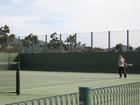 IMG_1077.JPG : 580 x 435