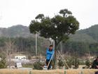 IMG_1087.JPG : 580 x 435